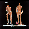 The First Romantics